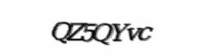 Security check image, please type the characters shown
